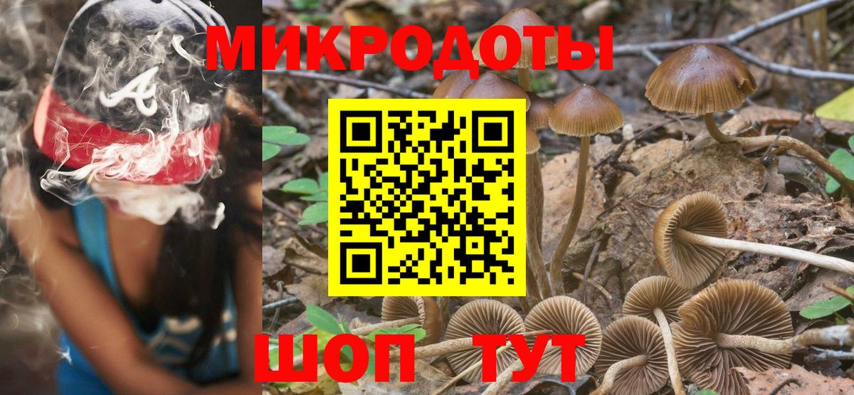 Галлюциногенные грибы MAGIC MUSHROOMS  купить  цена  Шадринск  Вход с VPN 